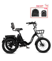 VICTRIP® T1 Folding Electric Trike