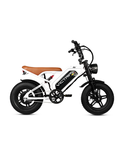 VICTRIP ®R6 Off-road Ebike