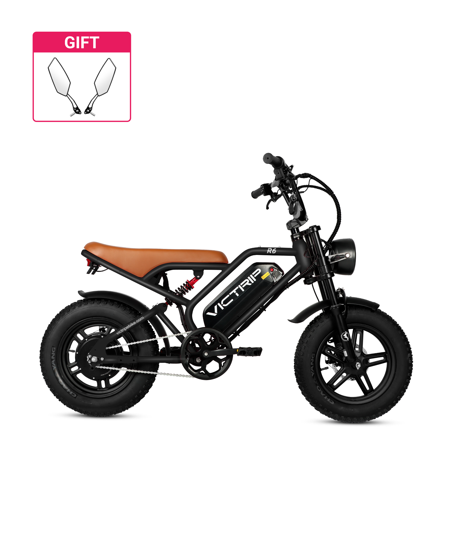 VICTRIP ®R6 Off-road Ebike