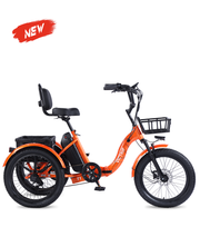 VICTRIP® T1 Foldable Electric Tricycle