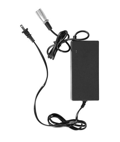 VICTRIP® T1 48V 20Ah EBike Battery