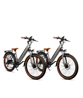 VICTRIP® Ebike Combo Sale N26*2