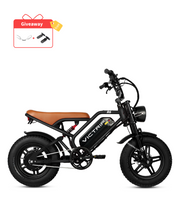 VICTRIP®R6 Off Road Ebike