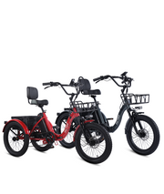 VICTRIP ® Combo Sale T1 Electric Tricycle*2