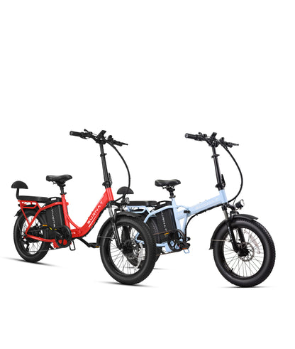 VICTRIP® Ebike Combo Sale S10&S10-1