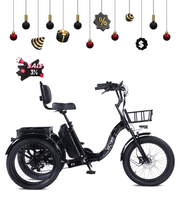 VICTRIP® T1 Foldable Electric Tricycle