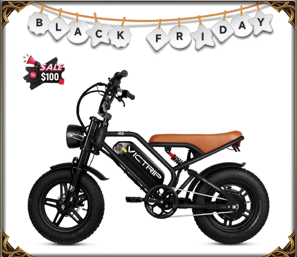 Fat Tire Electric Bike 750 Watt | VICTRIP