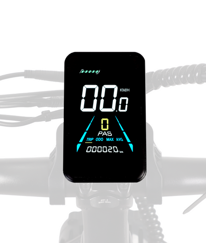 VICTRIP® Mimas Step through eBike