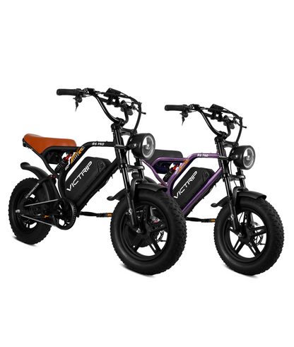VICTRIP®Ebike Combo Sale R6Pro*2