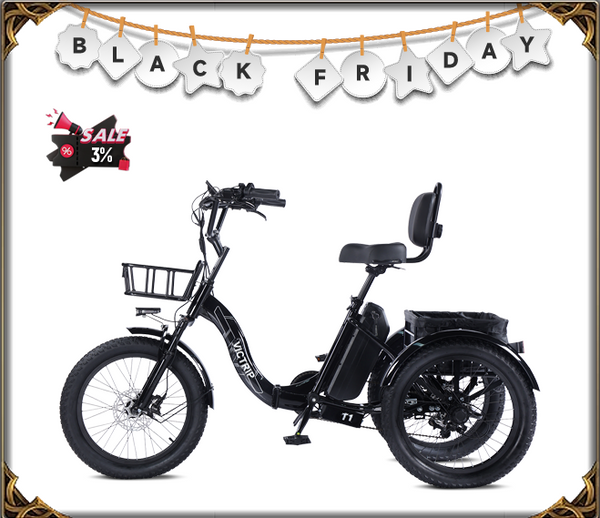 3 Wheel Electric Tricycle | VICTRIP