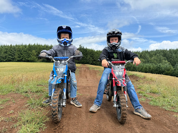 VICTRIP E-Bike