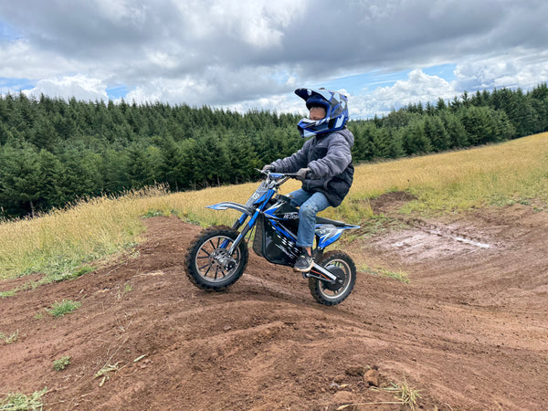 VICTRIP E-Bike