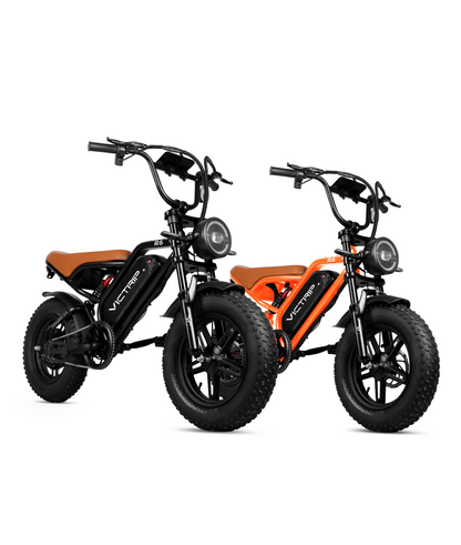 Off Road Ebike Combo Sale​ | VICTRIP