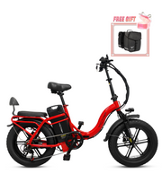 VICTRIP® TITAN S 1000W Long Range Ebike