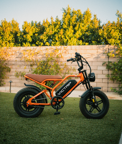 VICTRIP®R6 Off Road Ebike