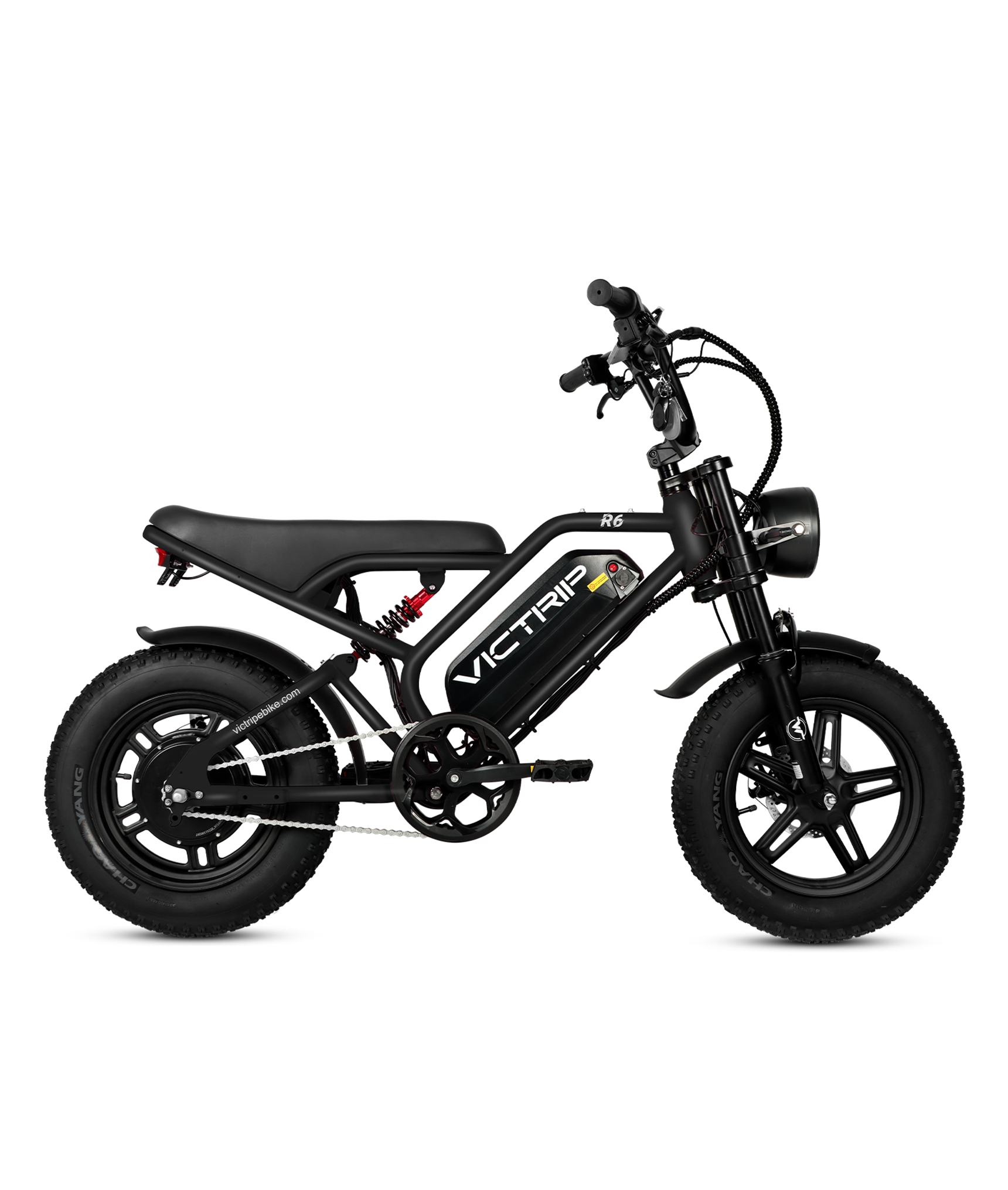 VICTRIP®R6 Off Road Ebike