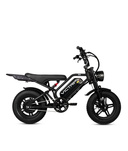 VICTRIP®R6 Off Road Ebike