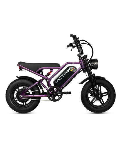 VICTRIP®R6 Off Road Ebike