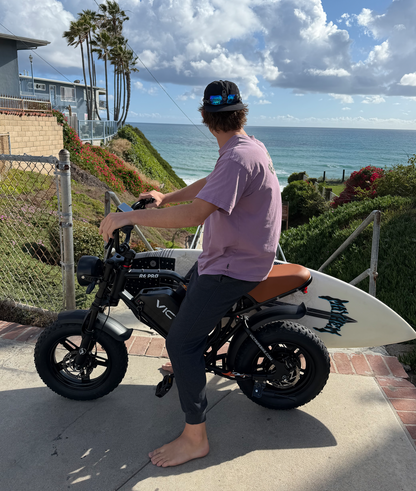 Off Road Electric Bike For Adults | VICTRIP