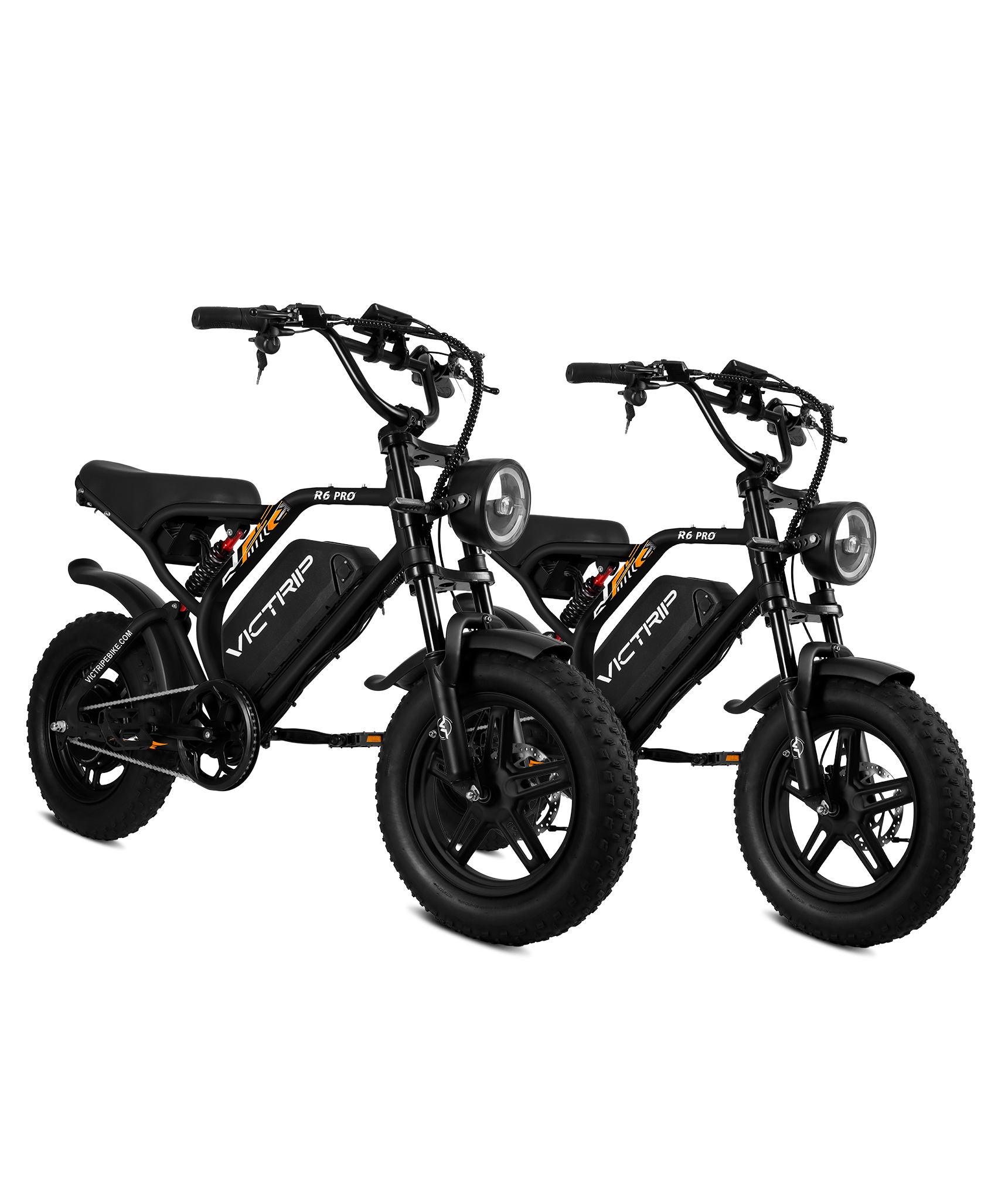VICTRIP®Ebike Combo Sale R6Pro*2