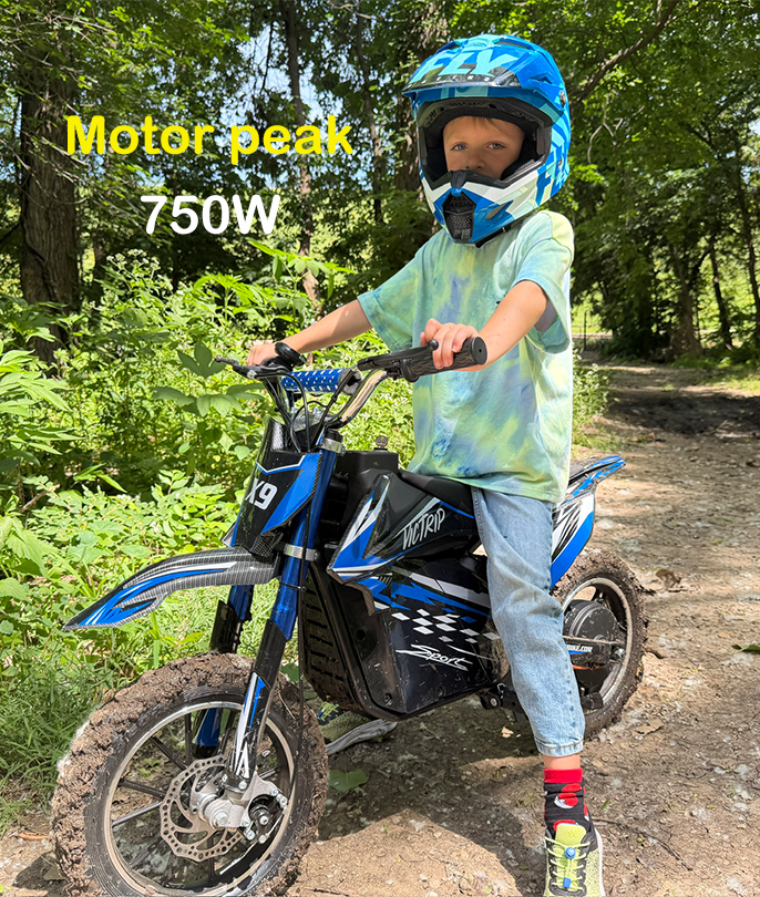 Youth Dirt Bikes 750W | VICTRIP
