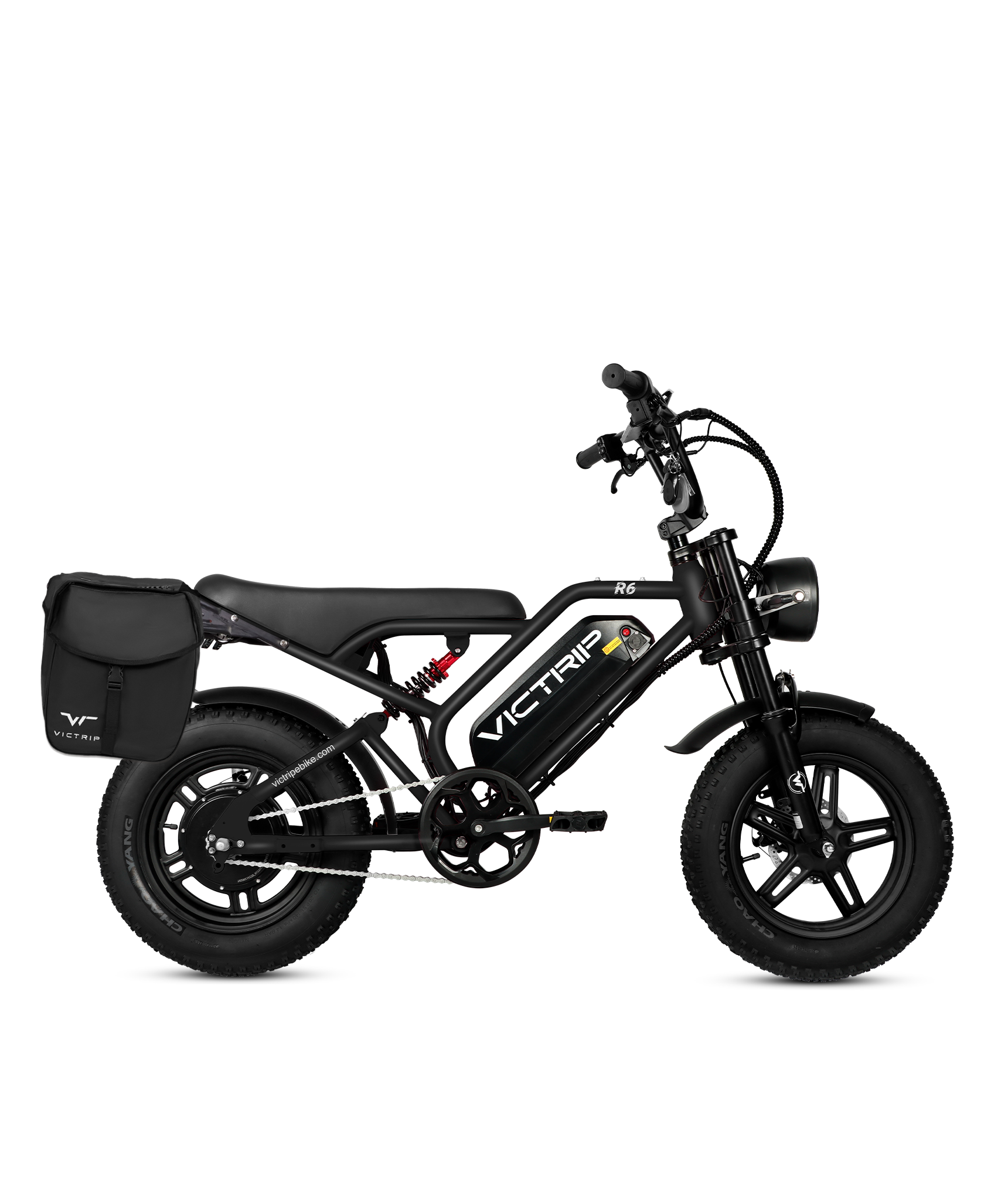 VICTRIP®R6 Off Road Ebike