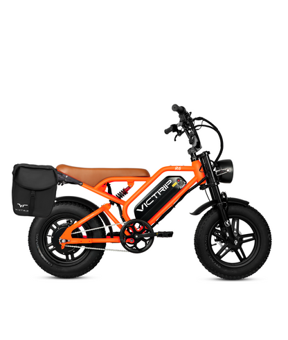 VICTRIP ®R6 Electric Off Road Bike