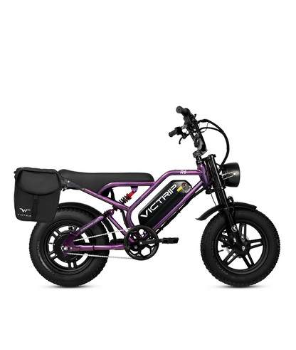 VICTRIP®R6 Off Road Ebike