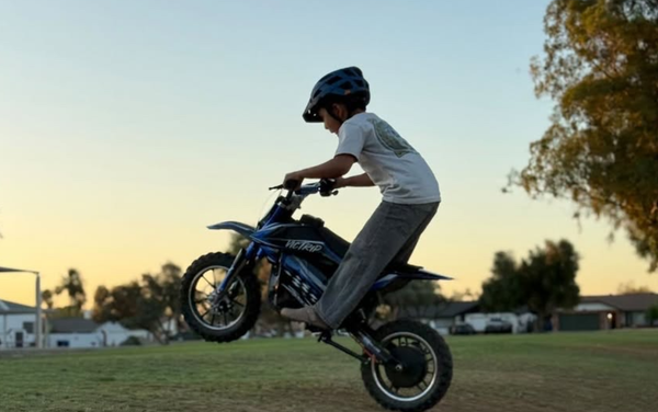 VICTRIP E-Bike