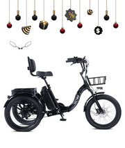 VICTRIP® T1 Foldable Electric Tricycle