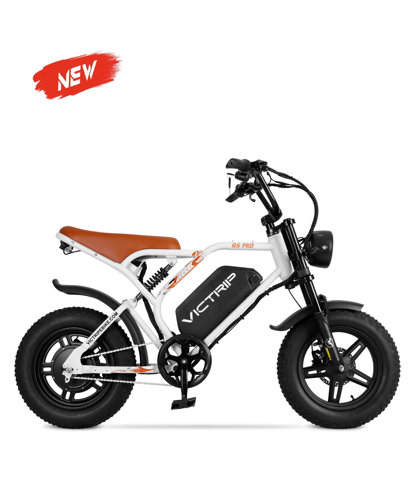 Motorcycle Style Ebike​ | VICTRIP