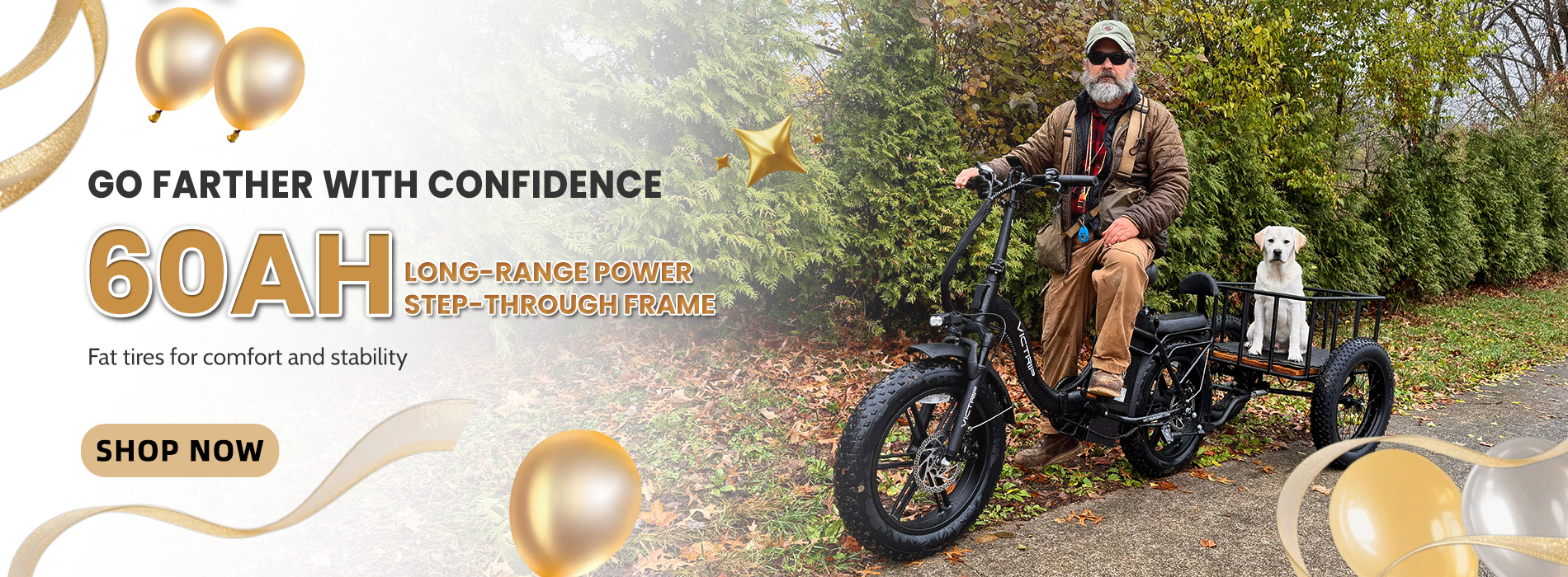 Affordable Electric Bike​ | VICTRIP