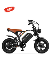 VICTRIP®R6 Pro Off Road Ebike