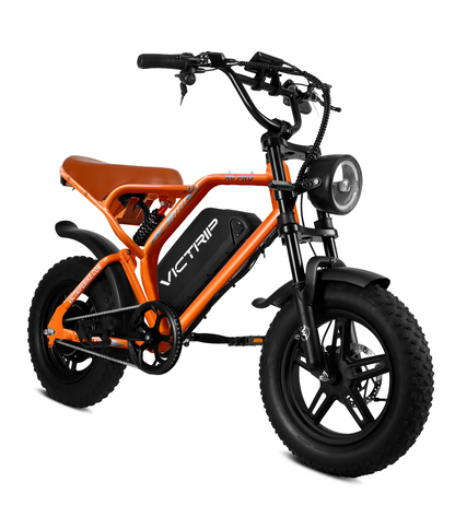 Moped Style Motorcycles​ | VICTRIP