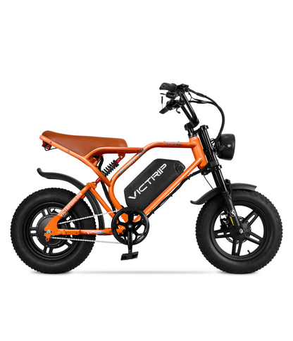 VICTRIP®R6 Pro Fat Tyre Electric Moped Bike