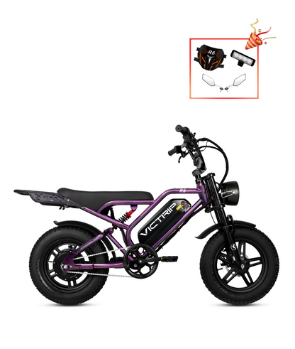 VICTRIP®R6 Off Road Ebike