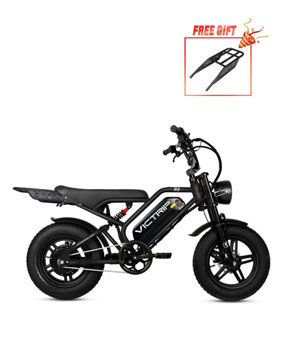 VICTRIP®R6 Off Road Ebike