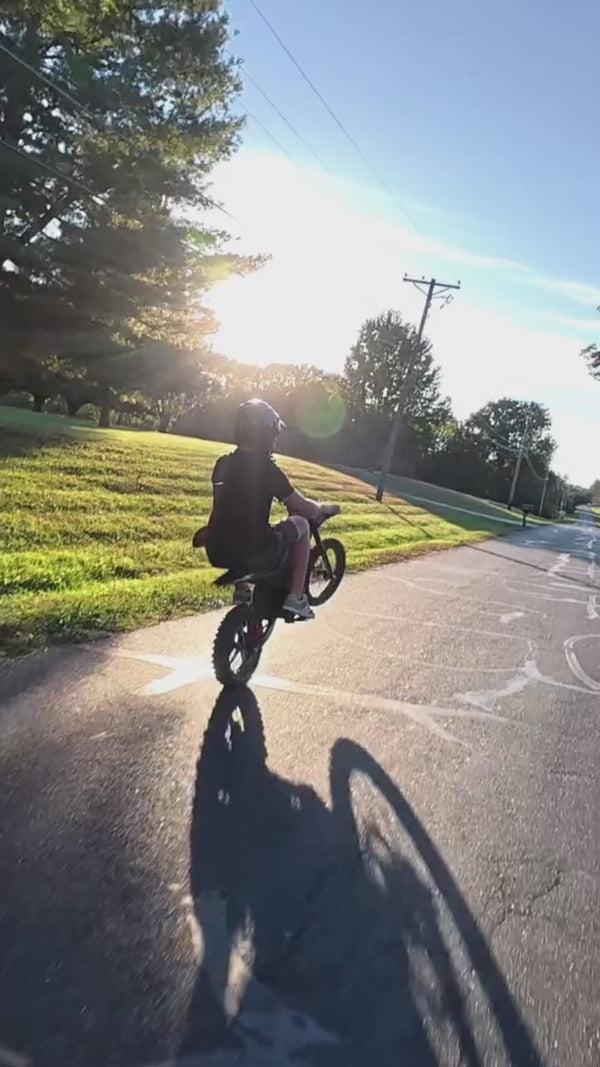 Instagram Video