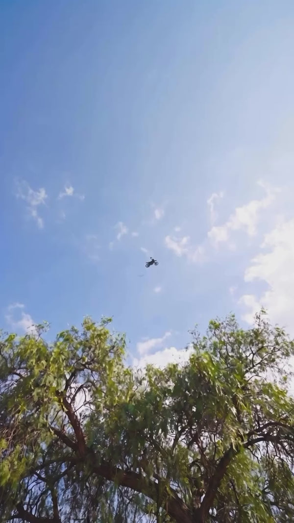 Instagram Video