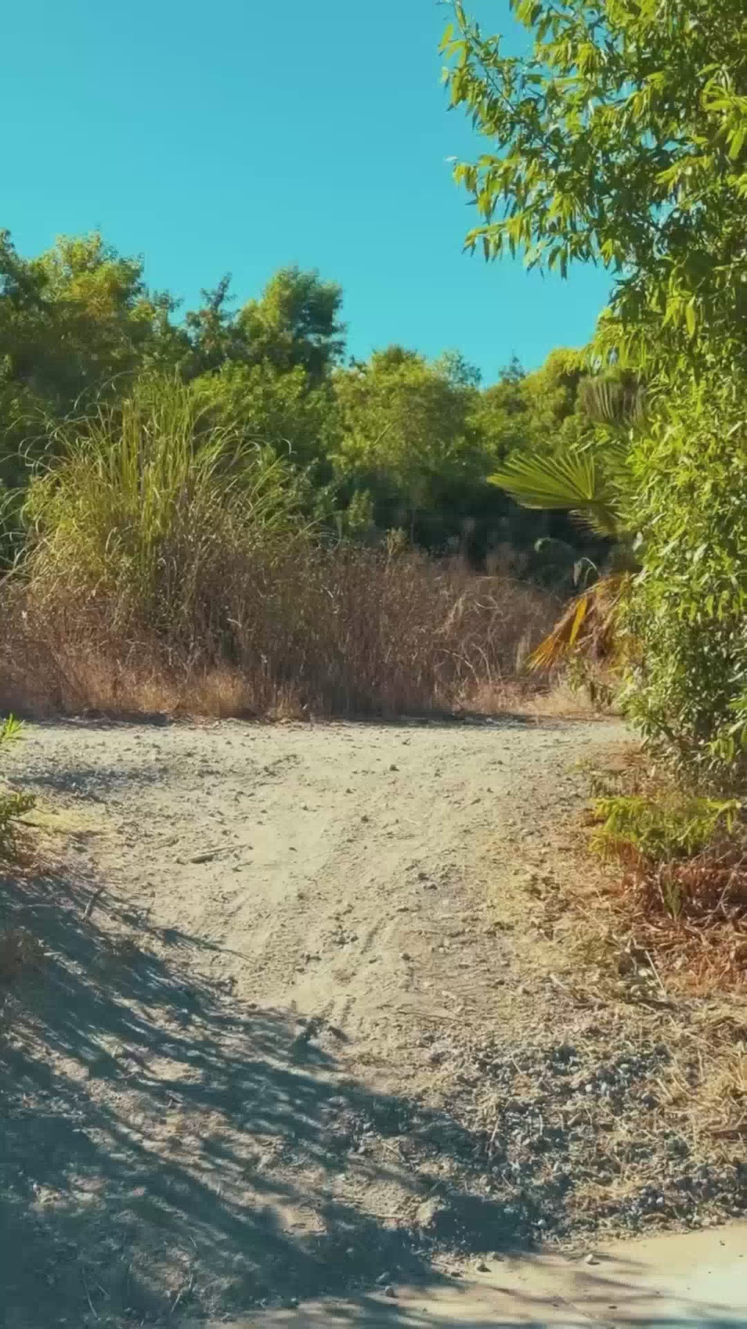 Load video: VICTRIP®R6 Off Road Ebike
