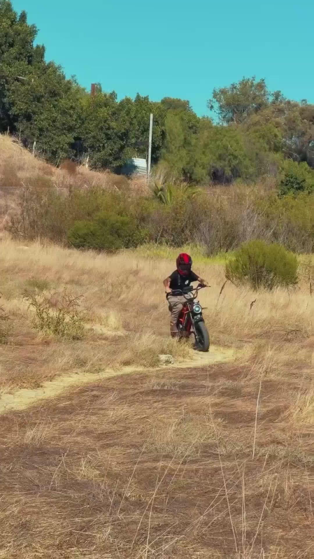 Load video: VICTRIP®R6 Off Road Ebike