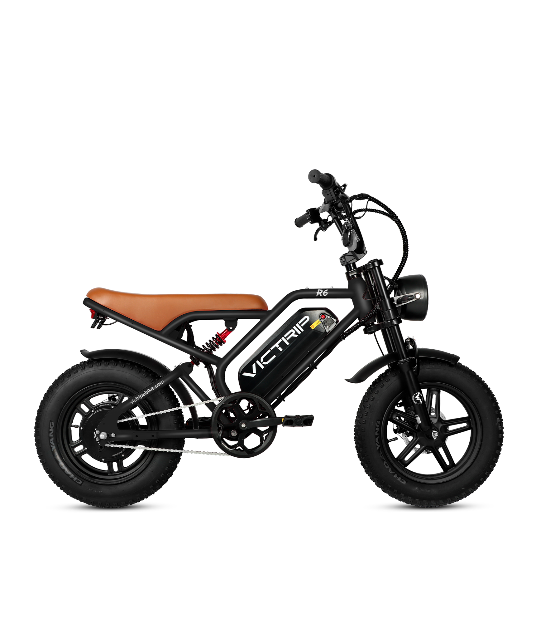 VICTRIP ®R6 Electric Off Road Bike