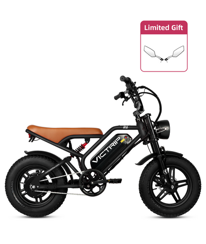 VICTRIP®R6 Off Road Ebike