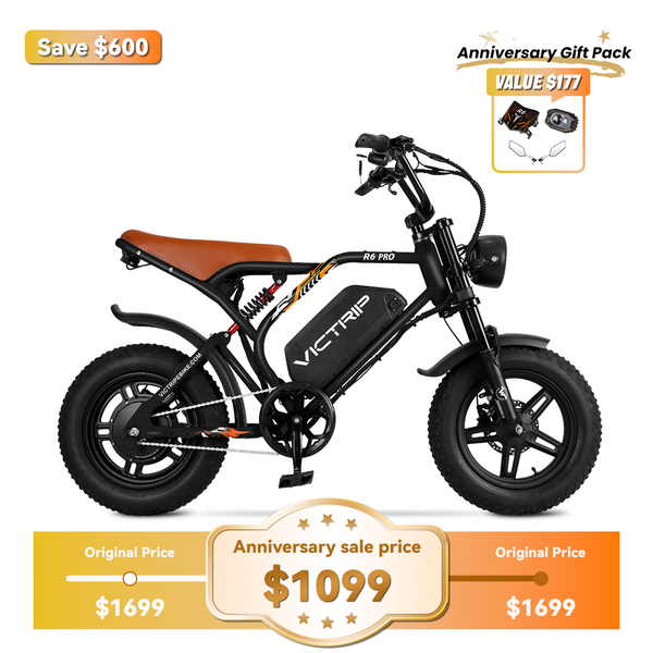 Fat Tire Electric Bike 1500 Watt | VICTRIP