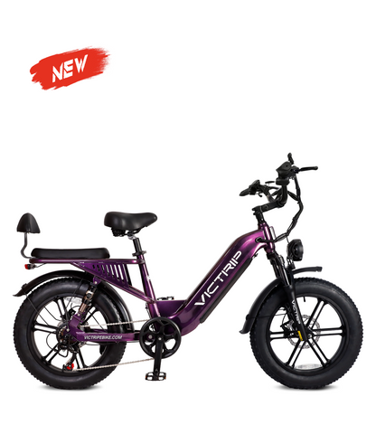 VICTRIP® Mimas Step through eBike