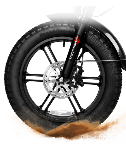 Electric Bike Fat Tire | VICTRIP