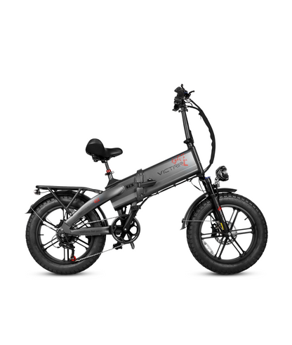 EU Legal 250W Long Range Ebike | VICTRIP