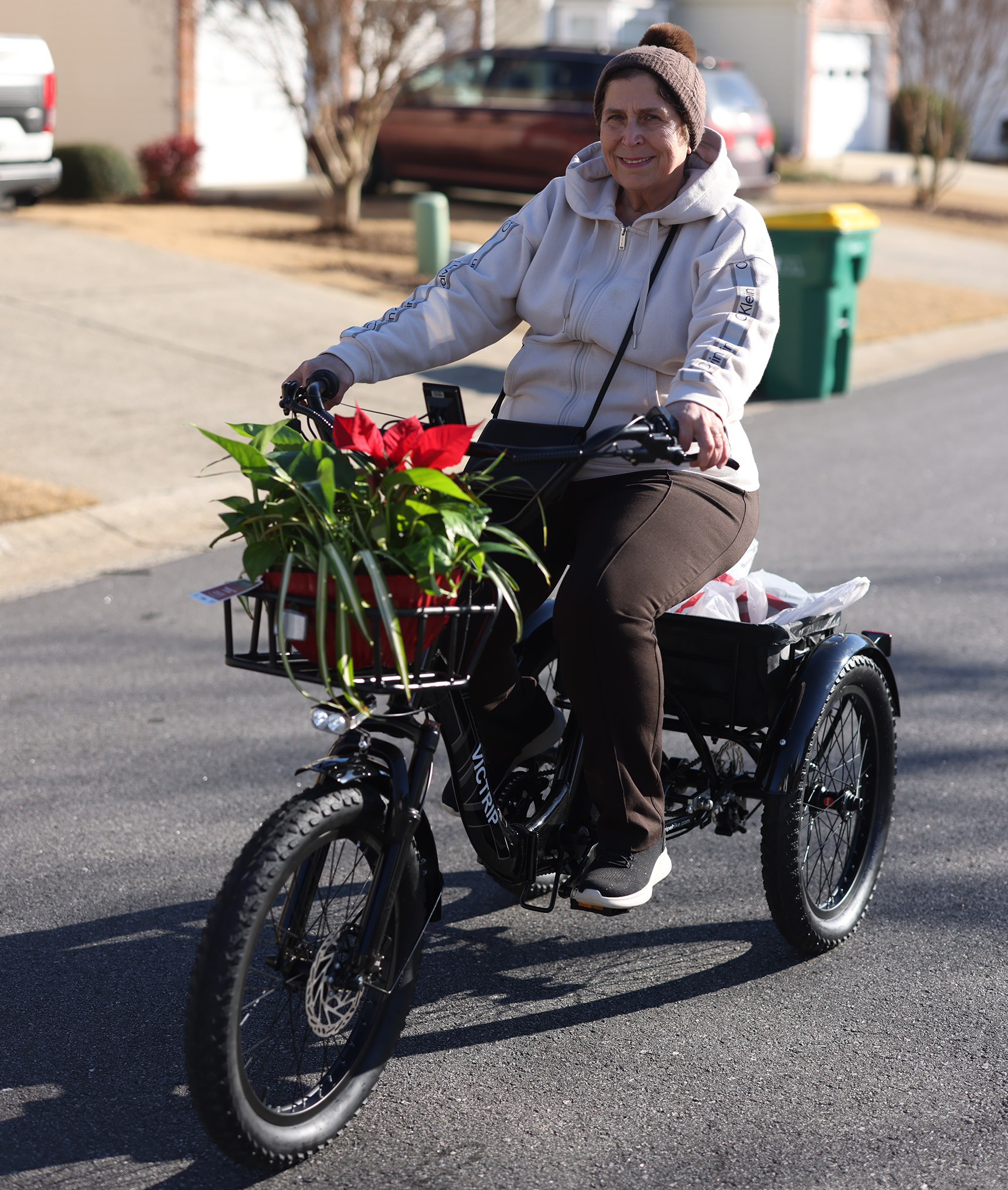 VICTRIP® T1 Folding Electric Trike