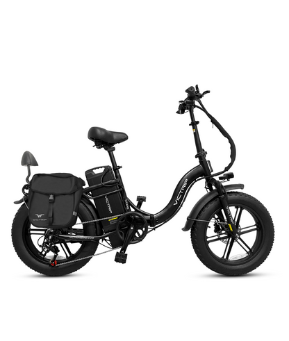 VICTRIP® TITAN S 1000W Long Range Ebike