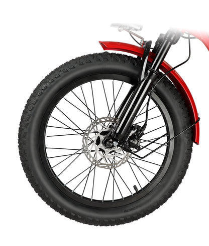 Fat Tire Electric Tricycle​ | VICTRIP